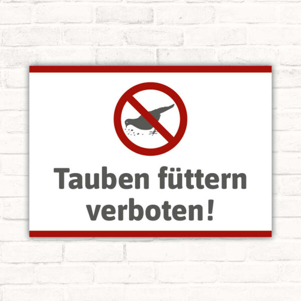 Schild Tauben füttern verboten