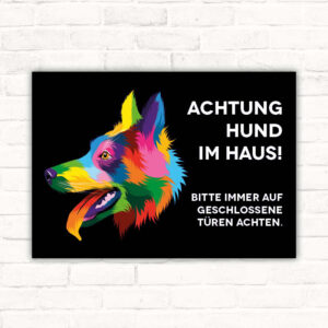 Schild Spitz Achtung Hund im Haus