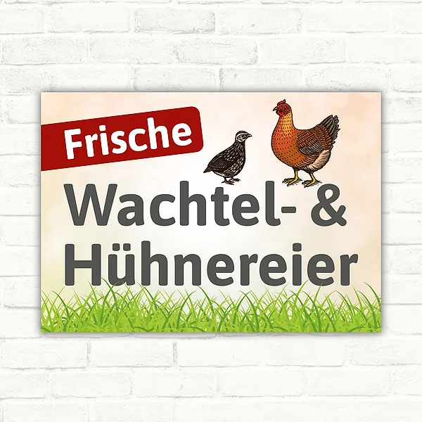 Schild mit der Aufschrift Frische Wachtel- & Hühnereier mit Wachtel- und Hühnerillustration
