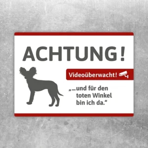 Aufkleber mit Chihuahua und Video-Hinweis für Türen oder Eingänge.