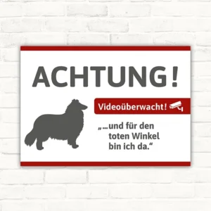 Schild mit Collie und Hinweis auf Videoüberwachung für Eingang oder Zaun.