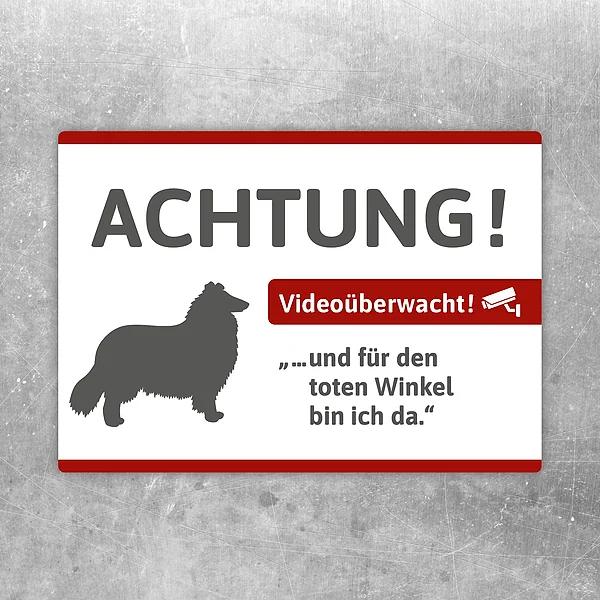 Aufkleber mit Collie und Hinweis auf Videoüberwachung für Eingang oder Zaun.