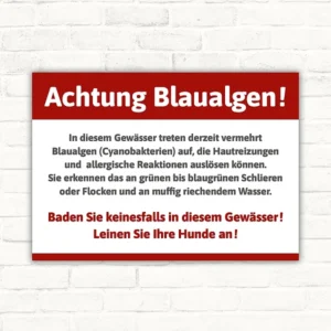 Schild mit der Aufschrift „Achtung Blaualgen – Baden verboten mit Erklärung“ als klare Kennzeichnung