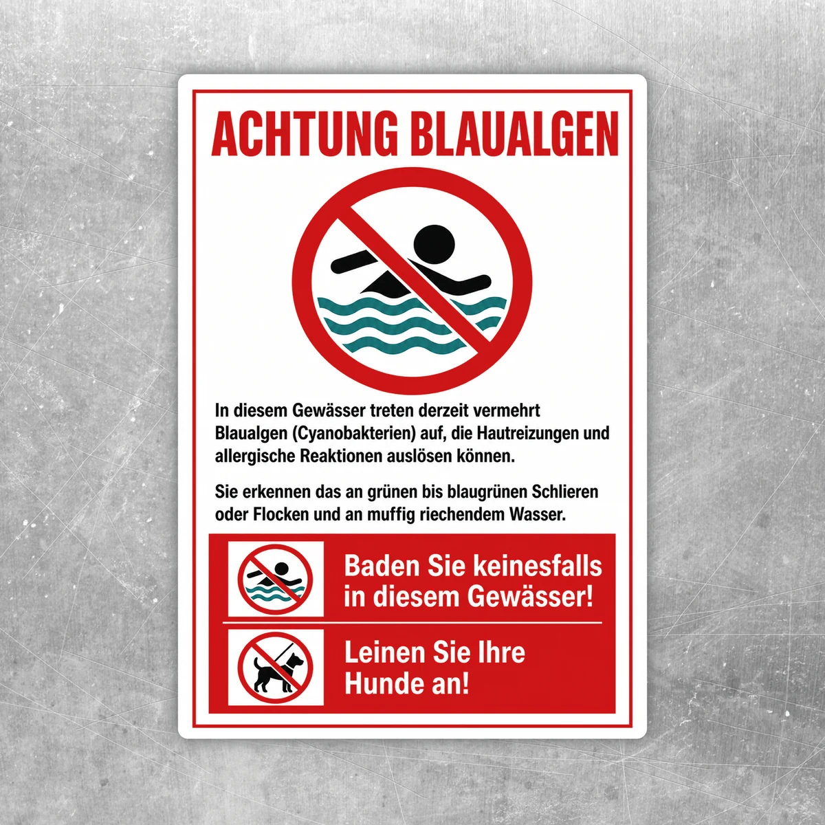 Blaualgen Warnschild Aufkleber mit Badeverbot und Hinweis zum Hunde anleinen in Rot, Weiß, Schwarz und Türkis.