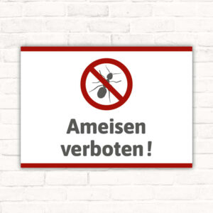 Schild Ameisen verboten Hygieneschild