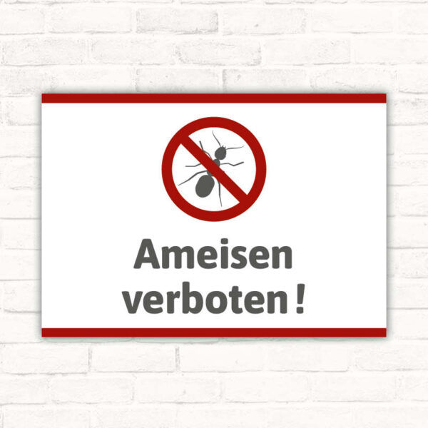 Schild Ameisen verboten Hygieneschild