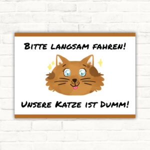 Langsam fahren - unsere Katze ist dumm