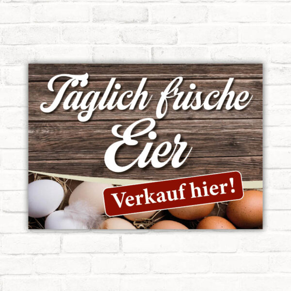 Schild Täglich frische Eier - Verkauf hier