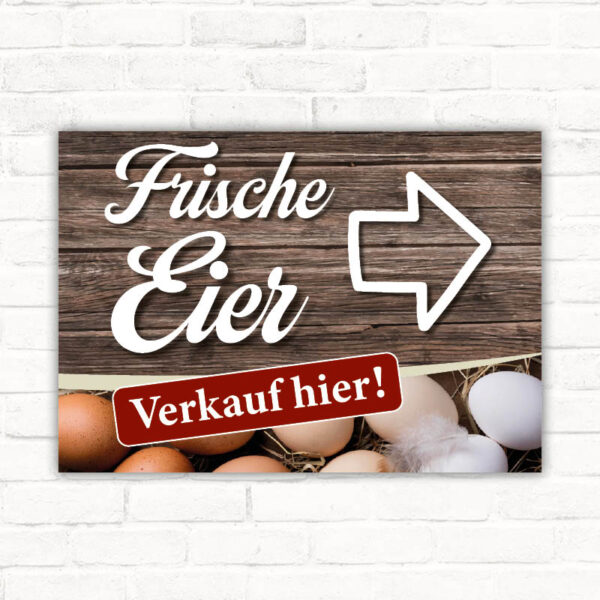Schild Täglich Frische Eier - Verkauf hier Pfeil nach rechts Eierverkauf