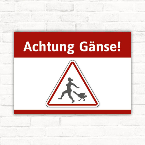 Schild Achtung Gänse