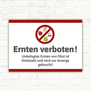 Verbotsschild mit Symbol für nicht erlaubtes Ernten von Obst und dem Text Ernten verboten