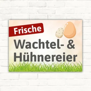 Schild mit dem Text Frische Wachtel- & Hühnereier und zwei Eiermotiven