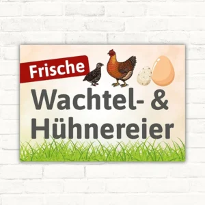 Schild mit der Aufschrift Frische Wachtel- & Hühnereier, mit Wachtel, Huhn und Eiern im Querformat.