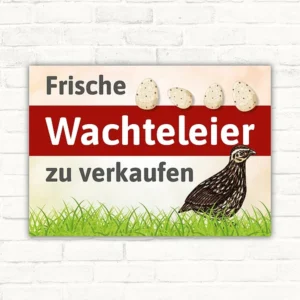 Schild mit der Aufschrift Frische Wachteleier zu verkaufen, mit Wachtel, Eiern und Gras im Querformat