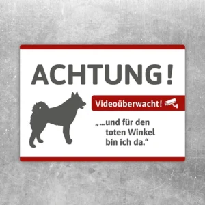 Aufkleber Hund-Video-Spitz mit Warnhinweis, Spitz-Silhouette und Videoüberwachung für Eingangsbereiche.