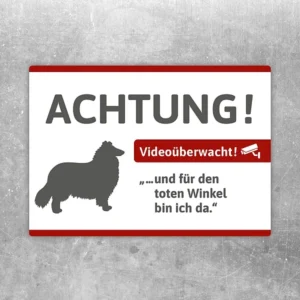 Aufkleber mit Collie und Hinweis auf Videoüberwachung für Eingang oder Zaun.