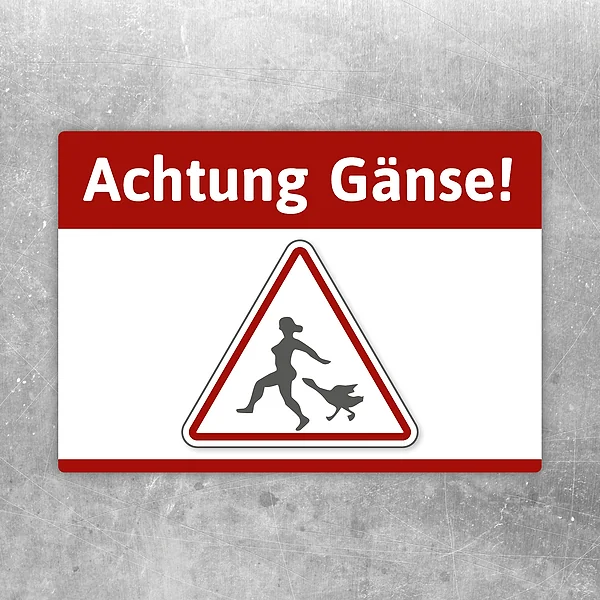 Aufkleber mit dem Text Achtung Gänse und einem humorvollen Warnsymbol für Hof und Garten.