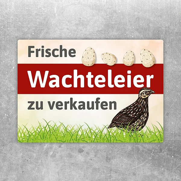 Aufkleber mit Wachtel, Eiern und dem Text Frische Wachteleier zu verkaufen für den Hofverkauf.