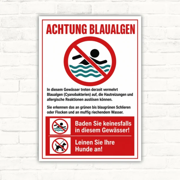 Blaualgen Warnschild mit Badeverbot und Hunde anleinen, rotes Hinweisschild für Gewässer mit Warnsymbolen.