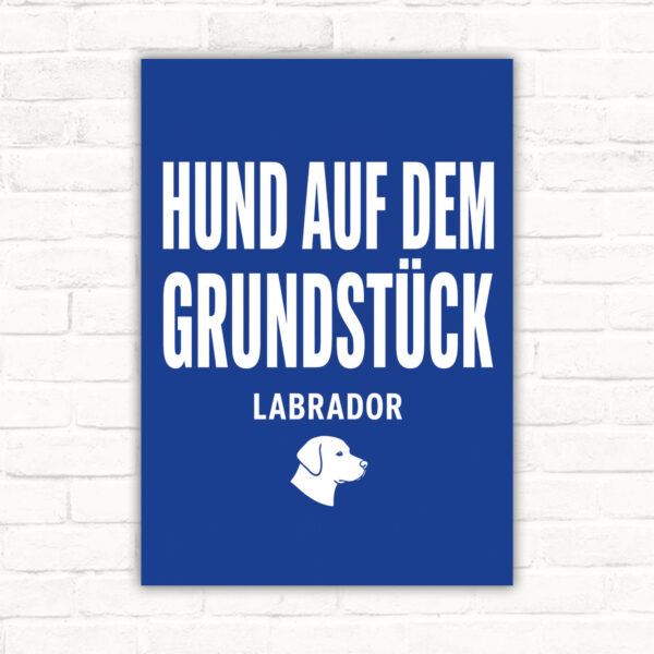 Hochformatiges Hund auf dem Grundstück Schild mit Wortlaut „Vorsicht!“ und Labrador hinter Zaun als Warnhinweis.