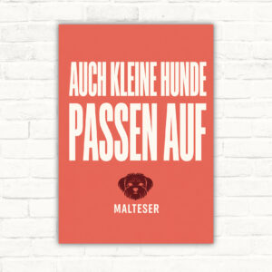 Hundeschild Malteser „Warnung! Auch kleine Hunde passen auf.“ unverzerrt im Hochformat an einer hellen Ziegelwand.