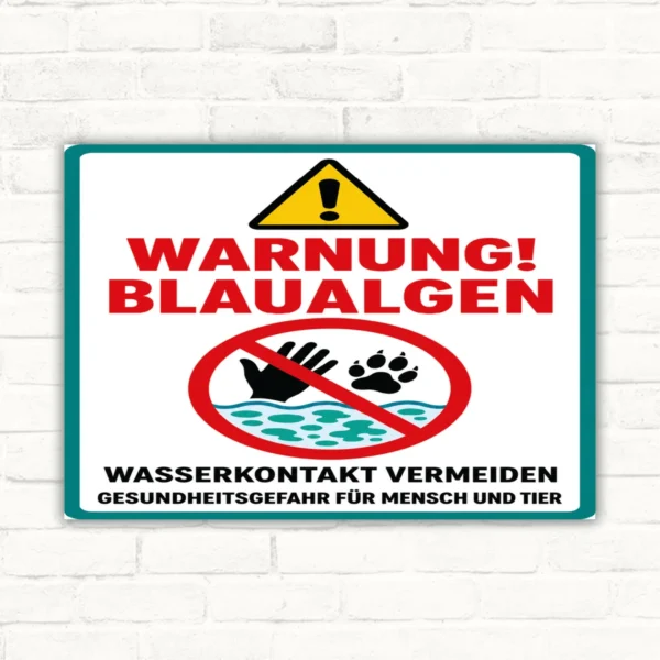 Warnung Blaualgen Schild im Hochformat mit Verbotssymbol und dem Hinweis Wasserkontakt vermeiden.