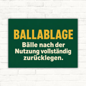 Ballablage Schild – Bälle nach der Nutzung vollständig zurücklegen mit gut lesbarem Motiv und klarer Beschriftung als bedrucktes Schild aus Aluminium-Verbundplatte.