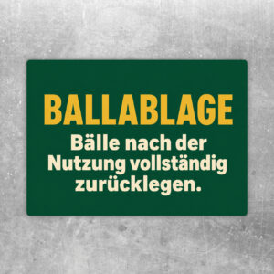 Ballablage Aufkleber im Querformat mit bunten Bällen und Hinweis zum vollständigen Zurücklegen nach der Nutzung.