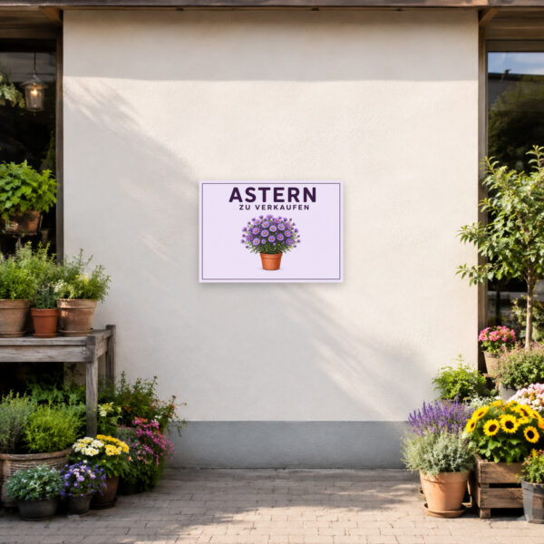 KI-generiertes Anwendungsbeispiel: Astern zu verkaufen Schild als dekoratives Verkaufsschild mit violetter Topfpflanze für Hofladen oder Gartenverkauf.