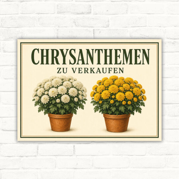 Chrysanthemen zu verkaufen Schild mit gut lesbarem Motiv und klarer Beschriftung als bedrucktes Schild aus Aluminium-Verbundplatte.