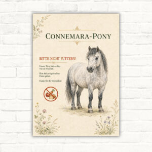 Bitte nicht füttern Schild mit Connemara-Pony, Blumenmotiv und gut lesbarem Hinweis für Stall oder Weide.