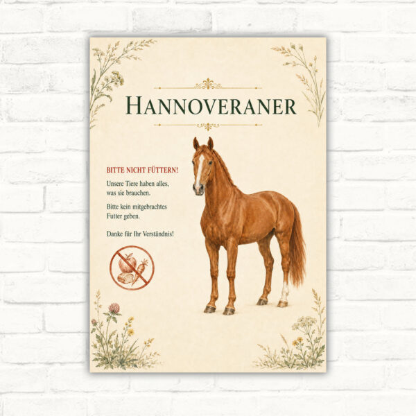 Bitte nicht füttern Pferdeschild Hannoveraner mit gut lesbarem Motiv und klarer Beschriftung als bedrucktes Schild aus Aluminium-Verbundplatte.