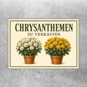 Aufkleber mit zwei Chrysanthemen im Topf und dem Text „Chrysanthemen zu verkaufen“ in Creme, Grün und Gelb.