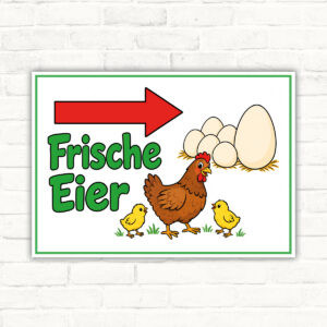 Frische Eier Schild mit Pfeil nach rechts – Querformat