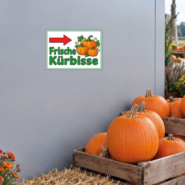 Frische Kürbisse Schild mit Pfeil rechts - Querformat – Bild 2