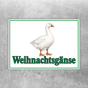 Weihnachtsgänse Aufkleber ohne Pfeil - Querformat