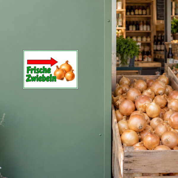Frische Zwiebeln rechts Aufkleber - Querformat – Bild 2