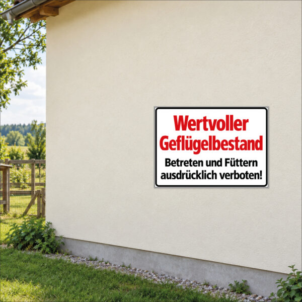 Wertvoller Geflügelbestand – Betreten und Füttern verboten als Schild im Querformat – beispielhaft an einer Stallwand angebracht
