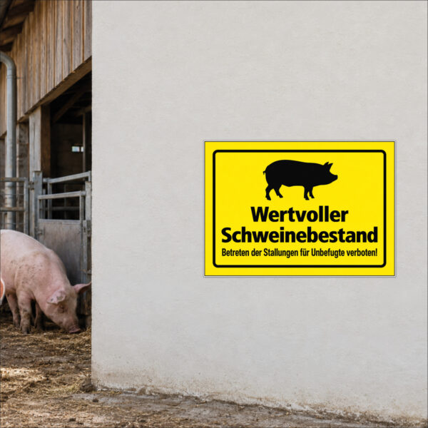 Wertvoller Schweinebestand als Schild im Querformat – beispielhaft an einer Stallwand angebracht