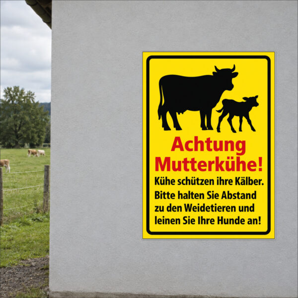 Achtung Mutterkühe – Hochformat gelb als Schild im Hochformat – beispielhaft an einer Stallwand angebracht