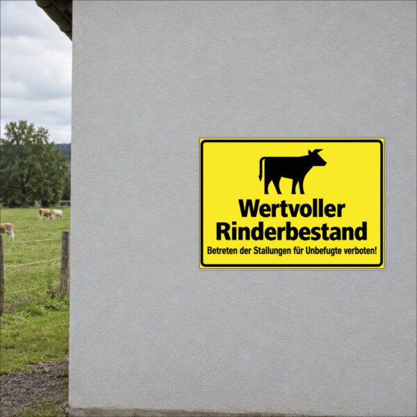 Wertvoller Rinderbestand als Schild im Querformat – beispielhaft an einer Stallwand angebracht