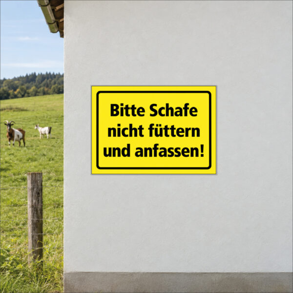 Schafe nicht füttern und anfassen – Schild – Bild 2