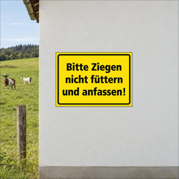 Ziegen nicht füttern und anfassen – Schild – Bild 2
