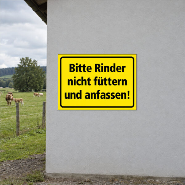 Rinder nicht füttern und anfassen – Schild – Bild 2