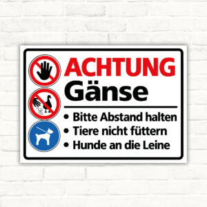 Achtung Gänse – Abstand halten und Hunde anleinen – Schild