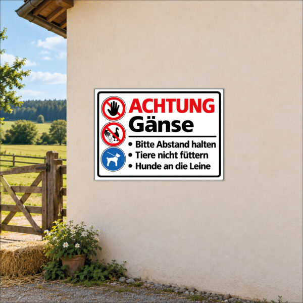 Achtung Gänse – Abstand halten und Hunde anleinen – Schild – Bild 2