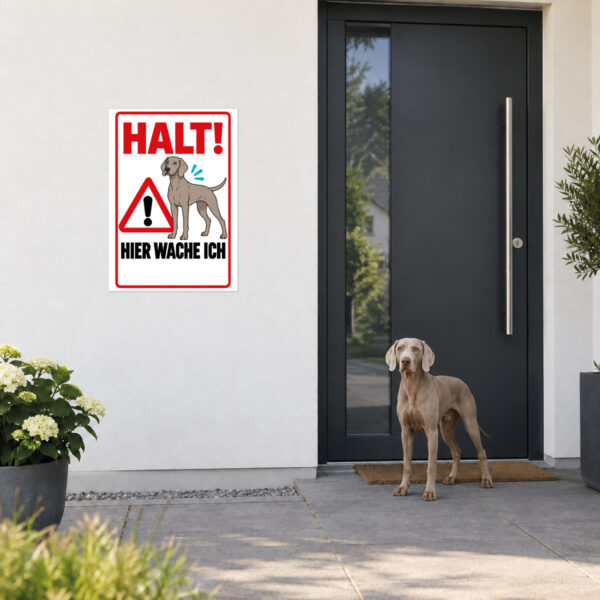 Weimaraner Schild Halt! Hier wache ich - Anwendung am Eingang
